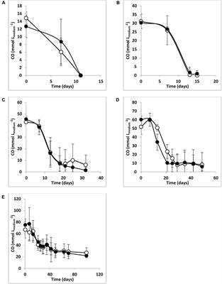 Effect of Sulfate on Carbon Monoxide Conversion by a Thermophilic Syngas-Fermenting Culture Dominated by a Desulfofundulus Species